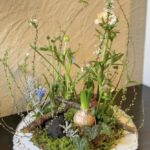 球根を使った春の芽吹きのアレンジメントのワークショップ開催