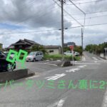 クリスマスリース　ワークショップ　開催決定　11月ワークショップ