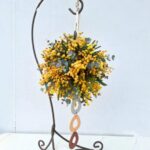 ☘️【参加人数限定】ミモザワークショップ開催☘️